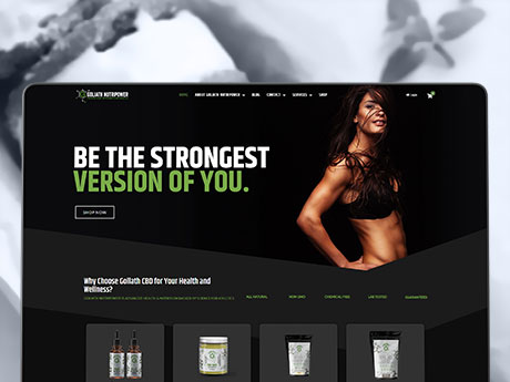 Vlogging and Streaming