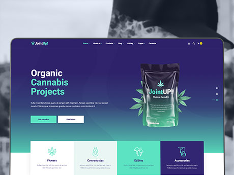 Vlogging and Streaming