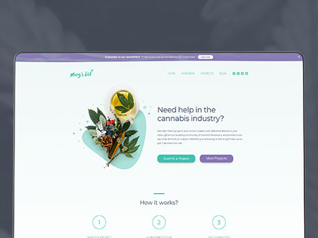 Vlogging and Streaming