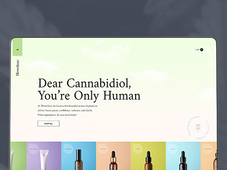 Vlogging and Streaming