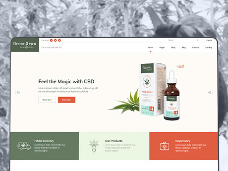 Vlogging and Streaming