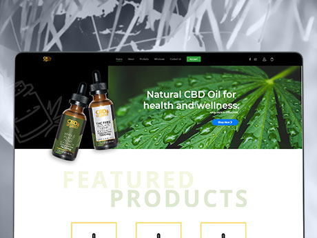 Vlogging and Streaming