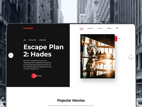 Vlogging and Streaming