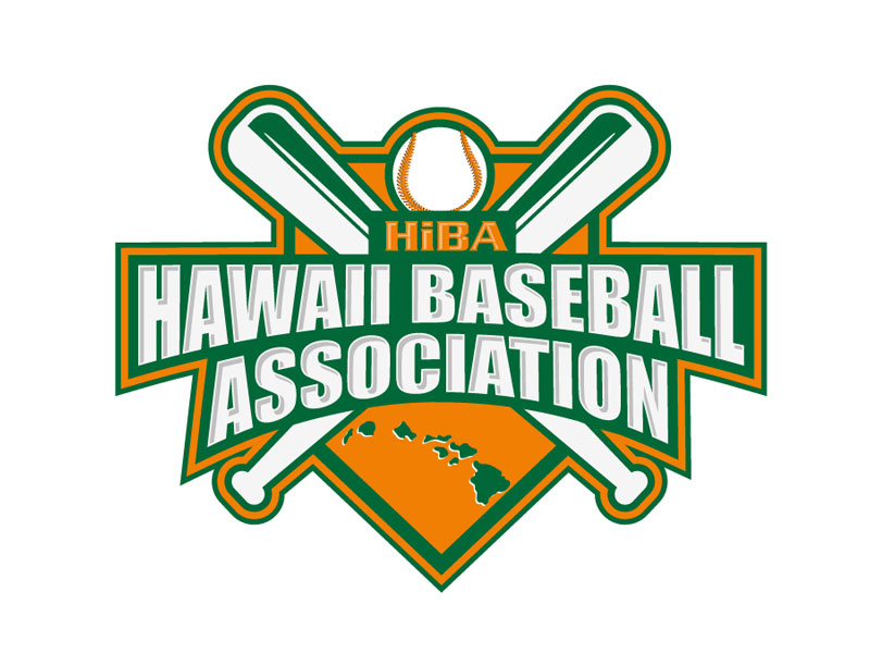 Custom Logo Design in the US